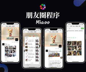 Miaoo朋友圈程序全开源版源码-亿码酷站